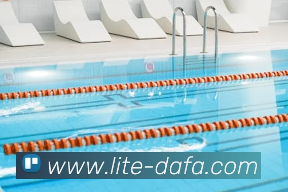 大发彩票发展历程